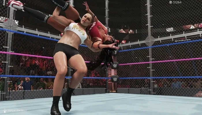 Wwe 2K19 Game For Pc