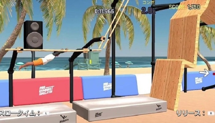 Pro Gymnast Simulator game for pc